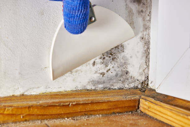 Best Indoor Air Quality Assessment  in Oronogo, MO