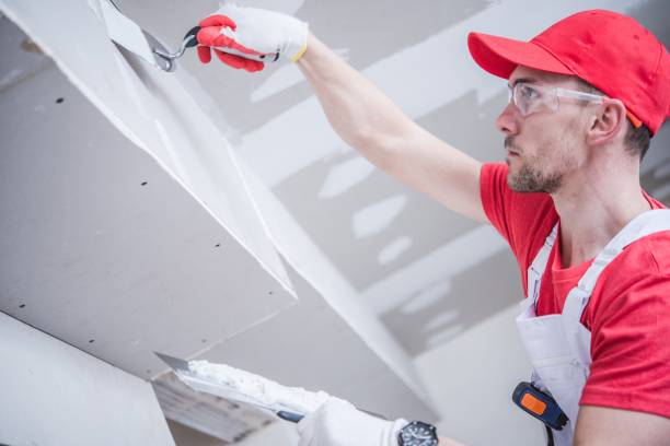 Best Crawl Space Mold Remediation  in Oronogo, MO